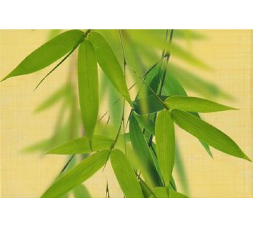 Декор Belarti OLL 1 20х30 см х9999033887