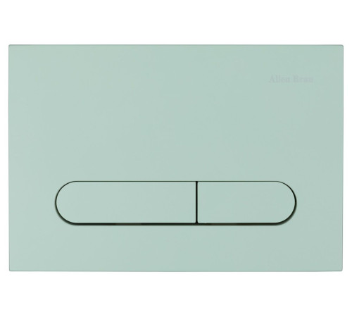 Клавиша смыва Allen Brau Project Color 23.1x15.7 см мятный 9.2PR01.MT