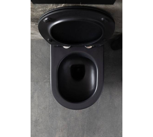 Чаша подвесного унитаза Allen Brau Reality черный 4.32006.31