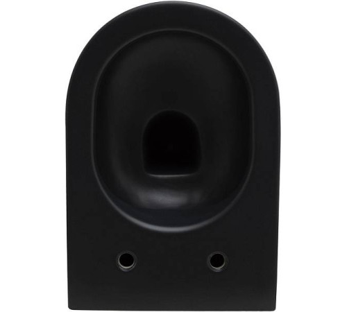 Чаша подвесного унитаза Allen Brau Reality черный 4.32006.31