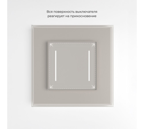Сенсорный выключатель двухклавишный с подсветкой (дымчатый) W4522014