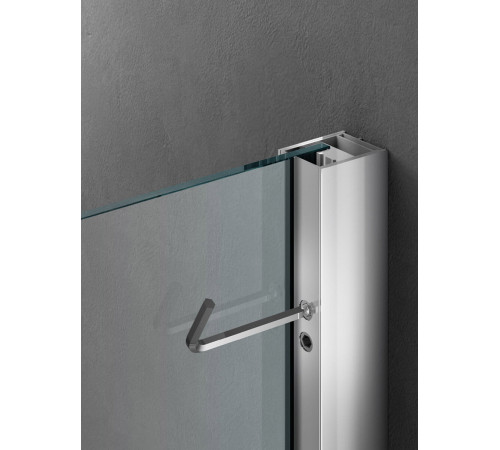 Маятниковая дверь в нишу Provex Jolly с боковым элементом 2100 JN 05 GL