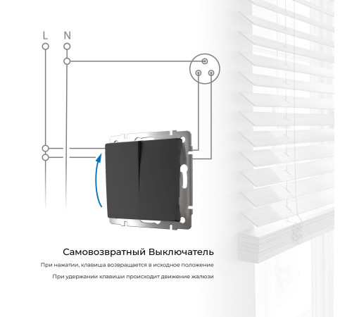 Выключатель двухклавишный с самовозвратом (черный матовый) W1122408
