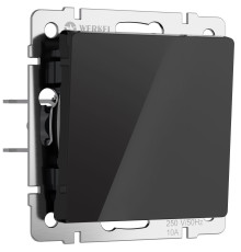 Выключатель одноклавишный (черный акрил) W1110048