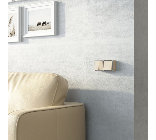 Выключатель одноклавишный проходной Gallant шампань рифленый W5012010