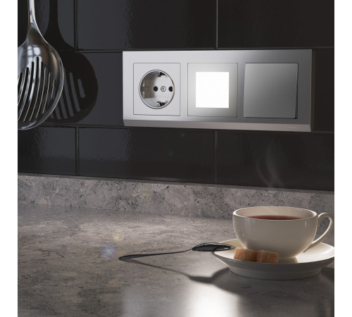 W1171106/ Розетка с заземлением и шторками (серебряный) W1171106