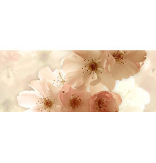 Декор панно Ceradim Manzano B 20х50 см КПН17ManzanoB