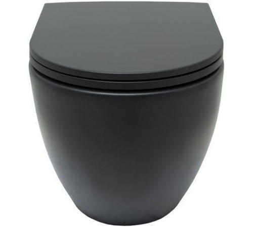 Чаша подвесного унитаза Allen Brau Reality черный 4.32006.31