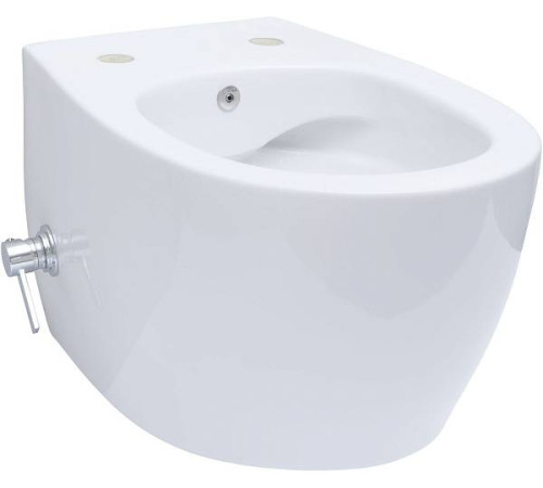 Унитаз подвесной безободковый Allen Brau Fantasy с гигиеническим душем 51x36.3 см 4.11HC1.20