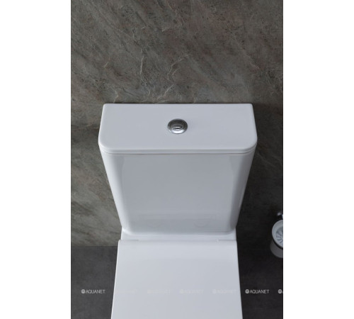 Чаша для унитаза напольного Allen Brau INFINITY 2 Rimless без сиденья 4.21012.20