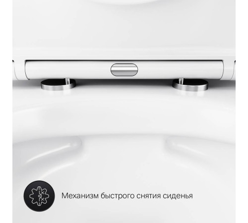 Унитаз подвесной AM.PM Spirit V2.0 FlashClean с сиденьем микролифт C741701SC