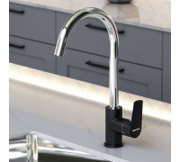 Смеситель для кухни AM.PM Origin Balance черный матовый 790720000