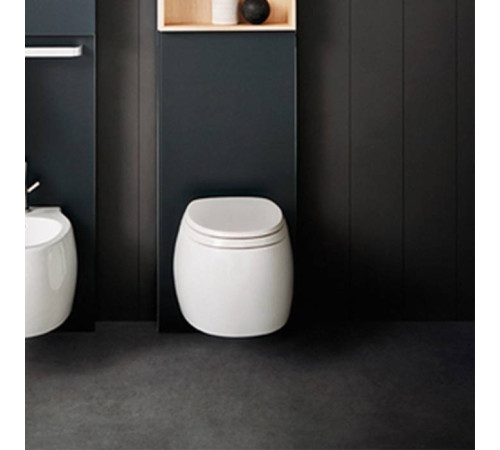 Унитаз подвесной Agape Pear 2 38х52.8х25.5 см сиденье микролифт матовый белый ACER0897WZP