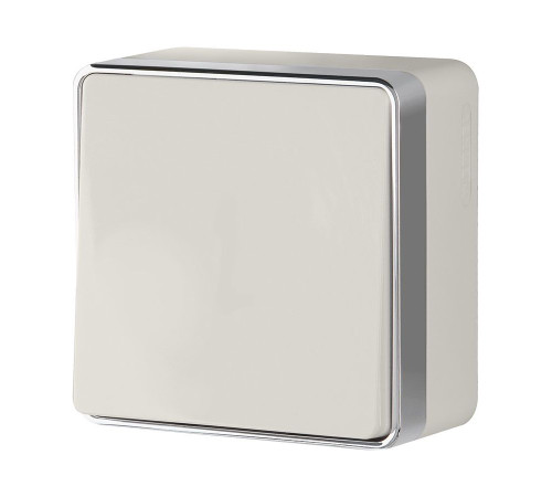 Выключатель одноклавишный проходной Gallant слоновая кость W5012003