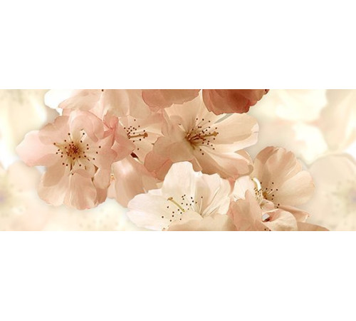 Декор панно Ceradim Manzano A 20х50 см КПН17ManzanoА