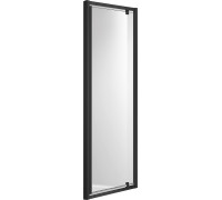 Душевая дверь Aquanet Aria распашная 900x2000 мм черный прозрачное стекло AQ ARI PI 09020BL