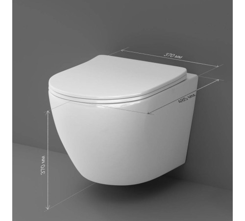 Унитаз подвесной AM.PM Like AquaSpin с сиденьем микролифт C801900SC