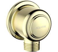 Шланговое подсоединение Aquatek КЛАССИК полированное золото AQ2461PG