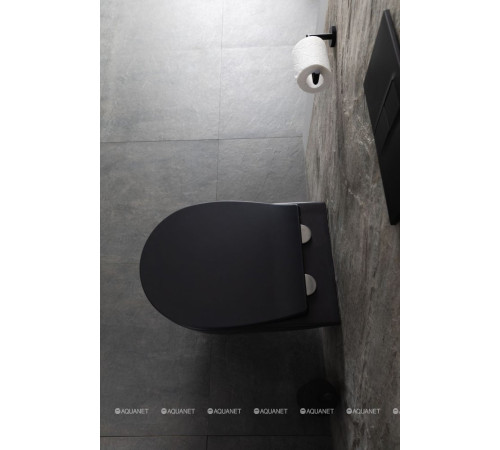 Унитаз подвесной Allen Brau Reality Rimless без сиденья 530x365 мм черный 4.32006.31