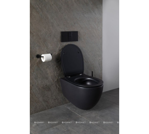 Унитаз подвесной Allen Brau Reality Rimless без сиденья 530x365 мм черный 4.32006.31