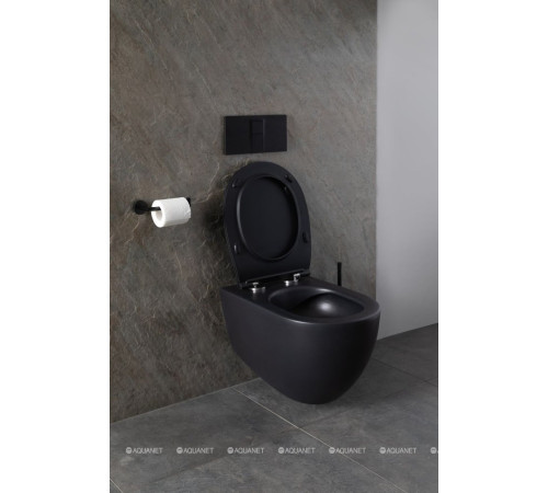 Унитаз подвесной Allen Brau Reality Rimless без сиденья 530x365 мм черный 4.32006.31