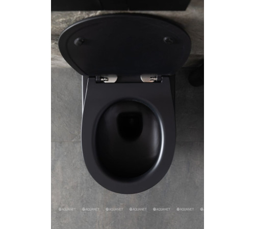 Унитаз подвесной Allen Brau Reality Rimless без сиденья 530x365 мм черный 4.32006.31