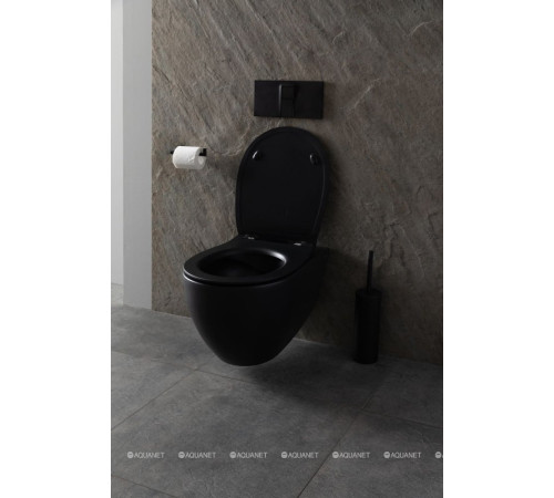 Унитаз подвесной Allen Brau Reality Rimless без сиденья 530x365 мм черный 4.32006.31