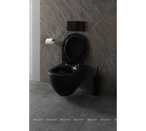 Унитаз подвесной Allen Brau Reality Rimless без сиденья 530x365 мм черный 4.32006.31