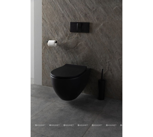 Унитаз подвесной Allen Brau Reality Rimless без сиденья 530x365 мм черный 4.32006.31