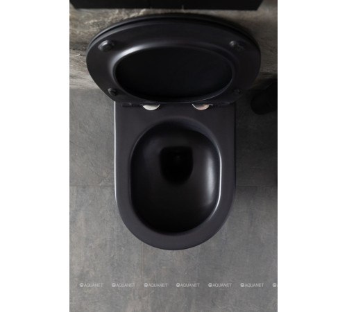 Унитаз подвесной Allen Brau Reality Rimless без сиденья 530x365 мм черный 4.32006.31