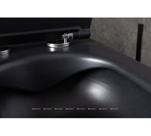 Унитаз подвесной Allen Brau Reality Rimless без сиденья 530x365 мм черный 4.32006.31