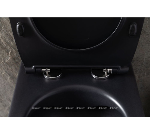 Унитаз подвесной Allen Brau Reality Rimless без сиденья 530x365 мм черный 4.32006.31