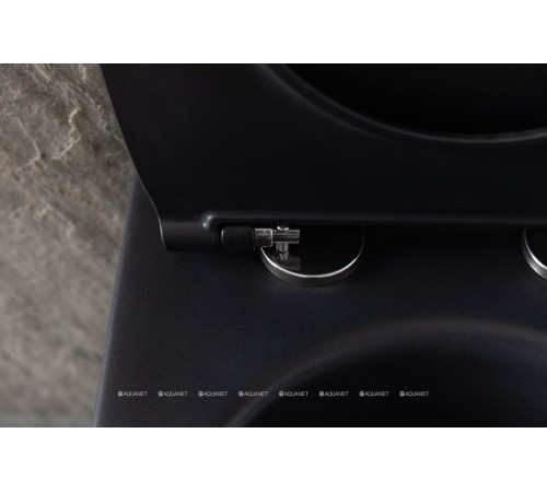 Унитаз подвесной Allen Brau Reality Rimless без сиденья 530x365 мм черный 4.32006.31