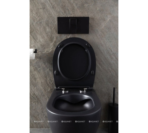 Унитаз подвесной Allen Brau Reality Rimless без сиденья 530x365 мм черный 4.32006.31