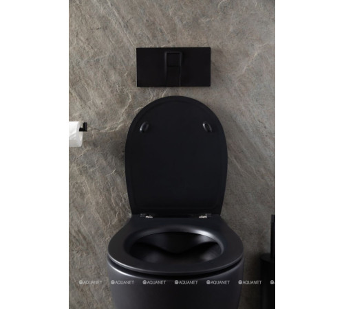 Унитаз подвесной Allen Brau Reality Rimless без сиденья 530x365 мм черный 4.32006.31