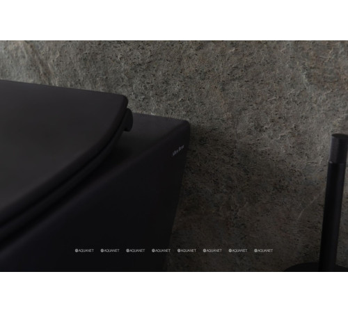 Унитаз подвесной Allen Brau Reality Rimless без сиденья 530x365 мм черный 4.32006.31