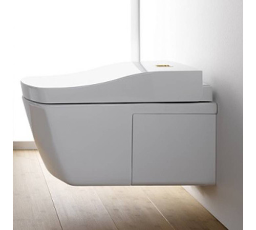 Унитаз подвесной TOTO Neorest AC безободковый с сиденьем Washlet 42.3x66.6x41 см TCF996RWG#NW1 / CW996PVD#NW1
