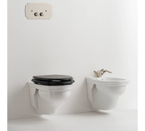 Унитаз подвесной Devon&Devon Westminster 35х54 см IBWCSWES