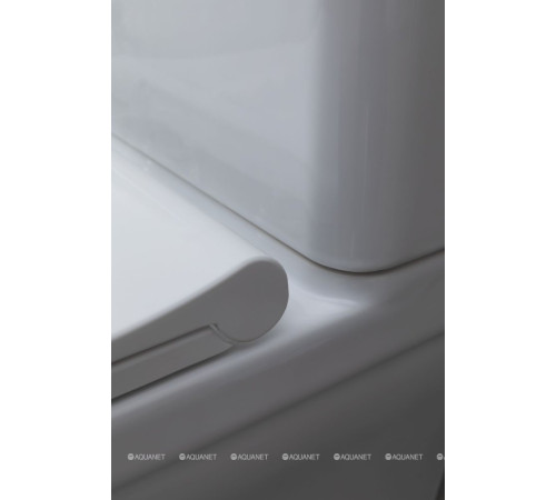 Чаша для унитаза напольного Allen Brau INFINITY 2 Rimless без сиденья 4.21012.20