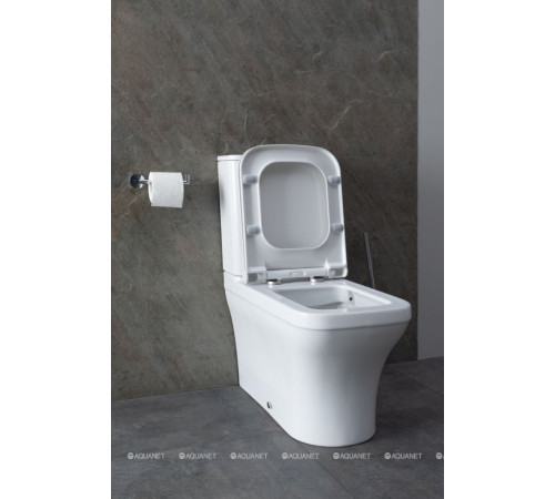 Чаша для унитаза напольного Allen Brau INFINITY 2 Rimless без сиденья 4.21012.20