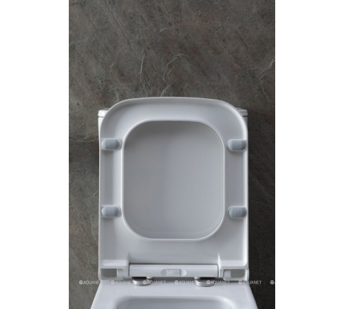 Чаша для унитаза напольного Allen Brau INFINITY 2 Rimless без сиденья 4.21012.20