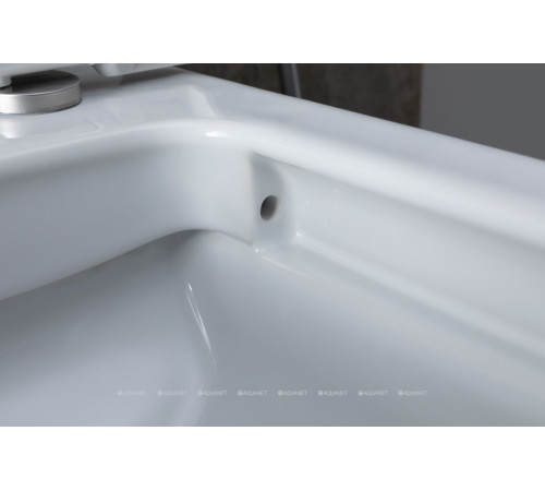 Чаша для унитаза напольного Allen Brau INFINITY 2 Rimless без сиденья 4.21012.20