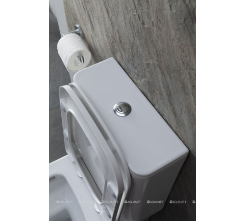 Чаша для унитаза напольного Allen Brau INFINITY 2 Rimless без сиденья 4.21012.20