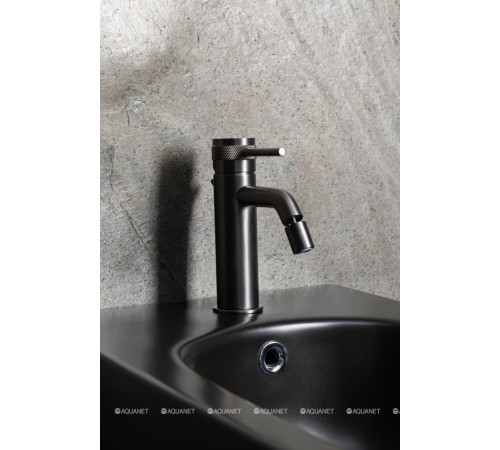 Смеситель для биде Allen Brau Priority 3.0 излив 122 мм графит 5.31A04-MG