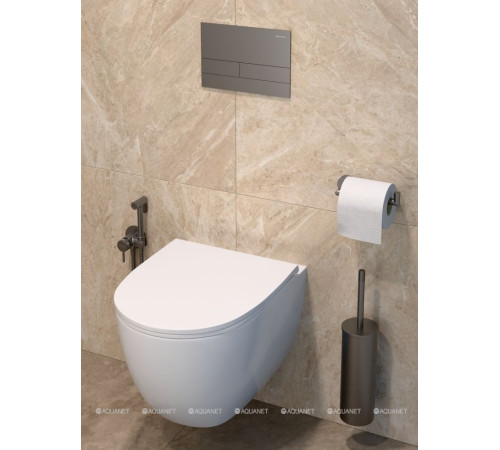 Ершик для унитаза подвесной Allen Brau Priority графит брашированный 6.31A09-MG