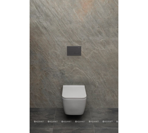 Кнопка смыва Allen Brau Project Color ABS 230x156 мм антрацит 9.2PR01.AN