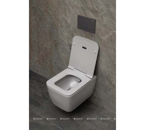 Кнопка смыва Allen Brau Project Color ABS 230x156 мм антрацит 9.2PR01.AN