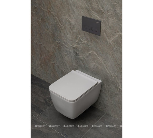 Кнопка смыва Allen Brau Project Color ABS 230x156 мм антрацит 9.2PR01.AN