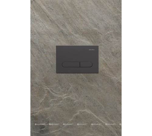 Кнопка смыва Allen Brau Project Color ABS 230x156 мм антрацит 9.2PR01.AN