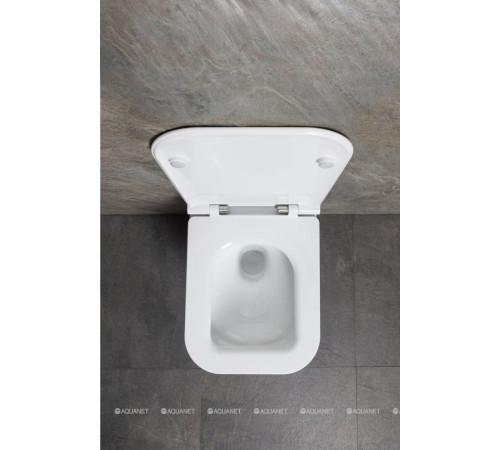 Унитаз подвесной Allen Brau Liberty 3 Tornado без сиденья 490х360 мм 4.33012.20